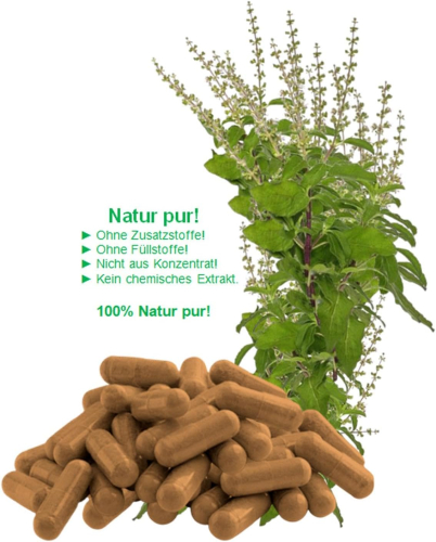 Basilikum Holy Basil Ayurveda Tulsi 120 Kapseln