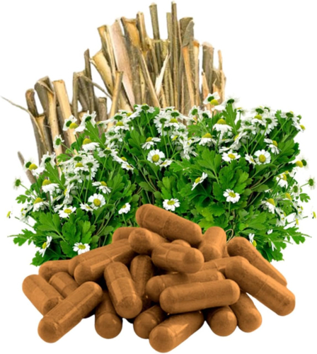 Mutterkraut + Weidenrinde 720 Kapseln Natur Pur ohne Zusatzstoffe
