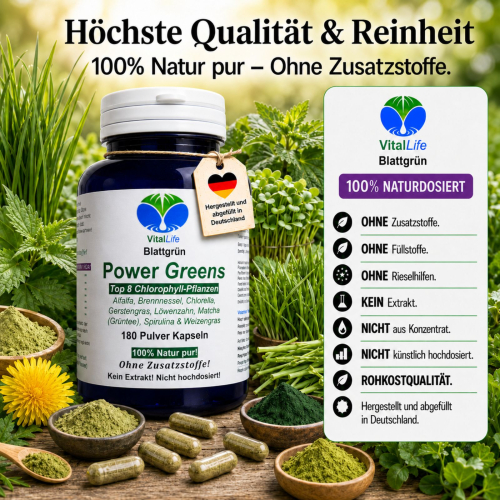 Green Power Greens 8x Chlorophyll Supergreens 180 Pulver Kapseln Alfalfa Brennnessel Chlorella Gerstengras Löwenzahn Matcha Spirulina Weizengras. Natur pur. Ohne Zusatzstoffe.