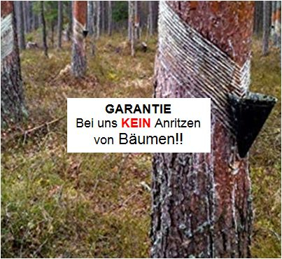 ZIRBENHARZ Österreich 50ml Harz der Tiroler Zirbe Zirbel Zirbelkiefer zum räuchern ZIRBENHOLZHARZ [Waldweihrauch] Räucherwerk.