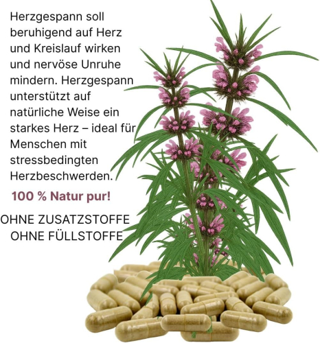 Echtes Herzgespann nach Hildegard von Bingen 360 Pulver Kapseln