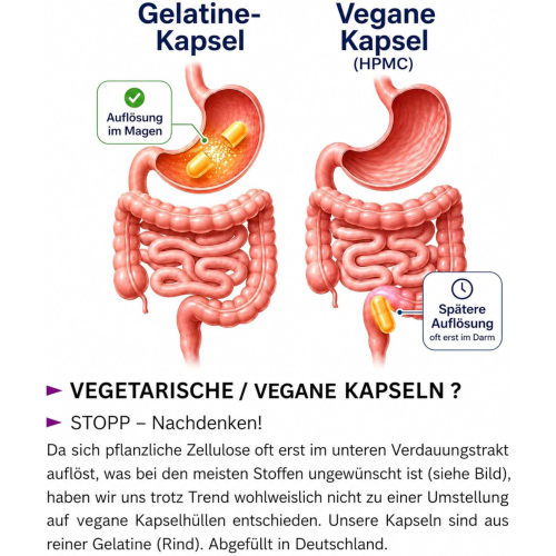 Frauenmantel 120 Kapseln Frauenmantelkraut - BALANCE & HARMONIE im monatlichen Rhythmus und weiblichen Zyklus. Natur pur. Ohne ZUSATZSTOFFE