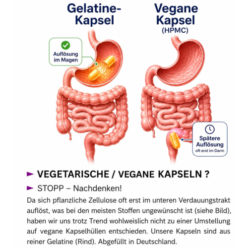 Goldrute Goldrutekraut & Blüten Echte Solidago 360 Pulver Kapseln Nieren Blase Harnwege. OHNE Zusatzstoffe.