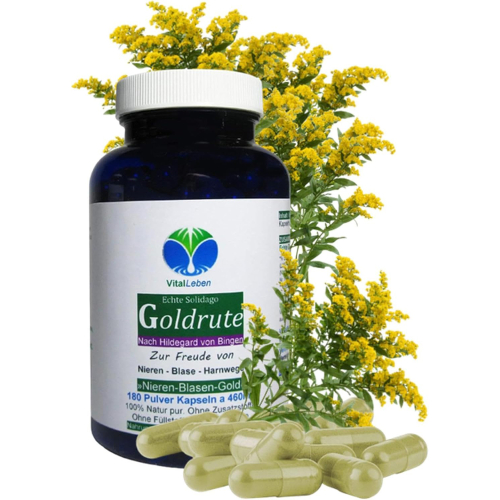 Echte Goldrute Solidago 720 Kräuter Kapseln nach Hildegard von Bingen