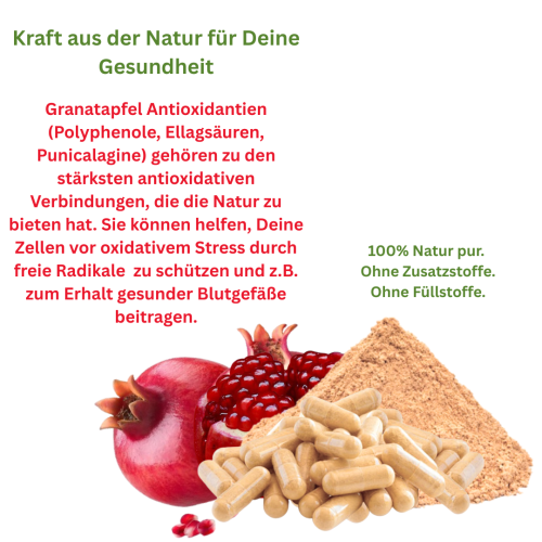 GRANATAPFEL 360 Kapseln Saft & Kerne 40% MEGA ANTIOXIDANTIEN, Ellagsäure, Polyphenole uvm. Natürliches MULTI-Vitamin-Mineral SUPERFOOD. KEIN EXTRAKT. KEIN SAFTPULVER. Nicht künstlich hochdosiert. 100% Natur pur. OHNE ZUSATZSTOFFE.