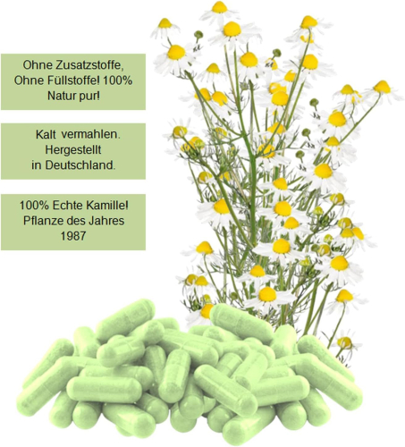 Echte Kamille Chamomilla 720 Pulver Kapseln kamillenblüten Natur pur
