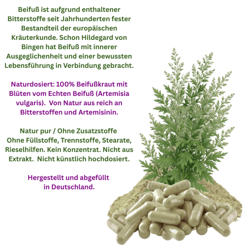 Beifuß echter Beifuss FLAVONOIDE & BITTERSTOFFE 720 (4x180) Kapseln. Vital im Alltag, natürliche Balance, innere Harmonie, gutes Körpergefühl, bewusster Lebensstil. 100% NATUR pur - OHNE Zusatzstoffe.