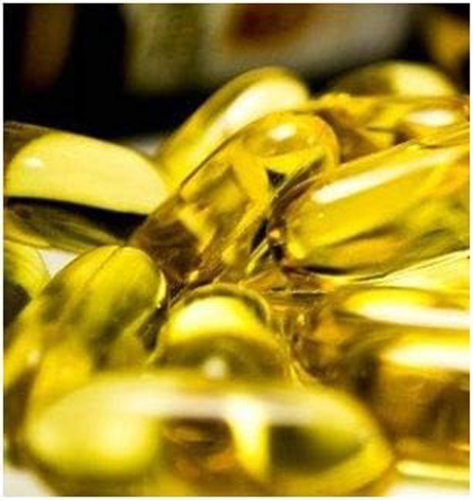 Omega 3 Fettsäuren EPA & DHA 480 (4x120) Softgel Kapseln