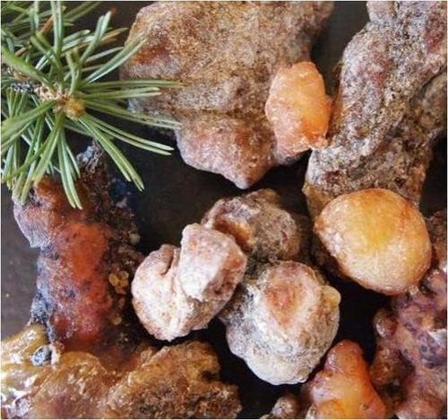 ZIRBENHARZ räuchern Österreich 50ml Harz der Tiroler Zirbelkiefer [Waldweihrauch] perfektes Räucherwerk für Rauhnächte.