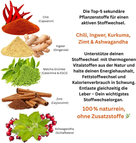 STOFFWECHSEL anregen, beschleunigen 120 Kapseln TOP-5 Komplex: Chili, Ingwer, Grüntee, Zimt, Ashwagandha.