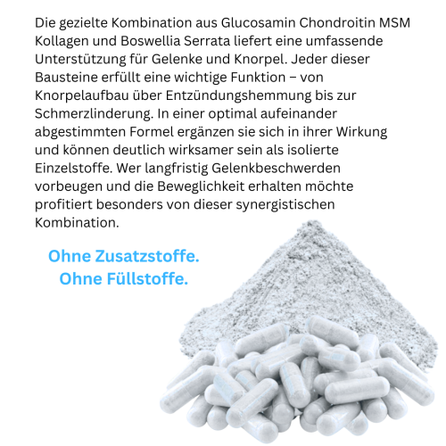 Knorpelaufbau KNORPEL und GELENKE 720 (4x180) Kapseln Top-5 Komplex ►Gelenkkapseln mit Glucosamin, Chondroitin, MSM, Kollagen, Weihrauch. OHNE ZUSATZSTOFFE. 3+1 Dose GRATIS!