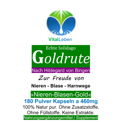 Echte Goldrute Solidago 180 Pulver Kapseln Nieren Blase Harnwege [OHNE Zusatzstoffe]