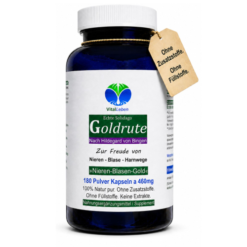 Goldrute Goldrutekraut & Blüten Echte Solidago 180 Pulver Kapseln Nieren Blase Harnwege. OHNE Zusatzstoffe.