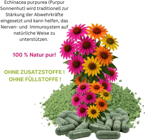 ECHINACEA purpurea 180 Kapseln PURPUR SONNENHUT ImmunFitKraut & Nerven ADAPTOGEN - Immunsystem-Abwehrkräfte Komplex - SEELISCHE Entspannung.
