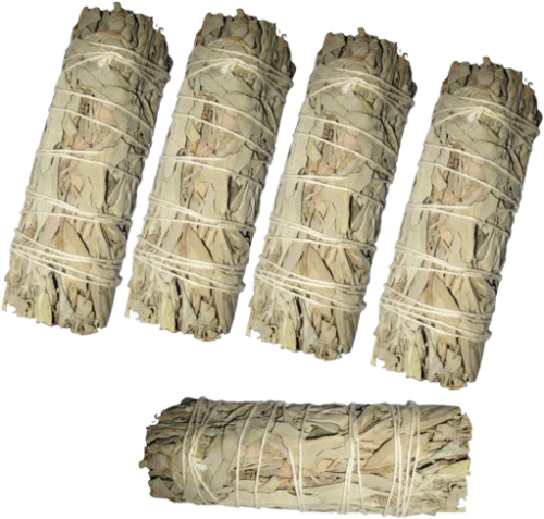 8-tlg SET: 5x Weißer Salbei Smudge Bündel 12-14cm aus Kalifornien. Handgeerntet, sorgsam gebündelt, sonnengetrocknet. OHNE ZUSATZSTOFFE. 1x Booklet. 1x Beschreibung. 1x Täschchen (Geschenksäckchen).
