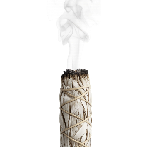 8-tlg SET: 5x Weißer Salbei Smudge Bündel 12-14cm aus Kalifornien. Handgeerntet, sorgsam gebündelt, sonnengetrocknet. OHNE ZUSATZSTOFFE. 1x Booklet. 1x Beschreibung. 1x Täschchen (Geschenksäckchen).