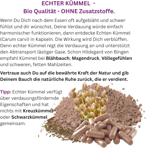 Verdauung anregen NATÜRLICHER Verdauungshelfer KÜMMEL 120 Verdauungs-Kapseln