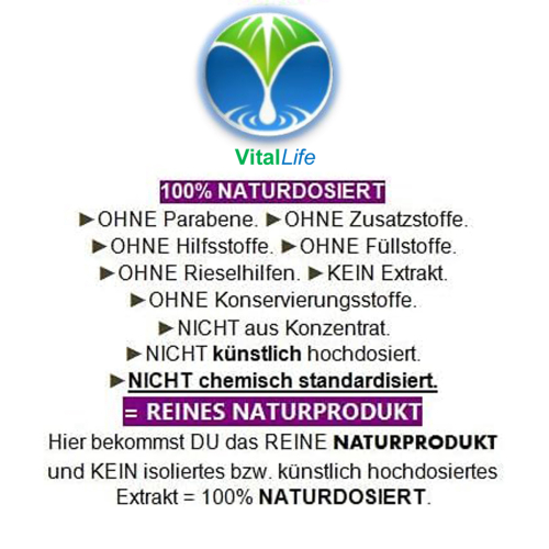 Basilikum Holy Basil Ayurveda Tulsi 180 Kapseln