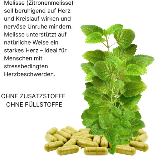 Melisse Zitronenmelisse 120 Kapseln NERVENKRAUT FRAUENWOHL HERZTROST 100% NATUR PUR - OHNE Zusatzstoffe!