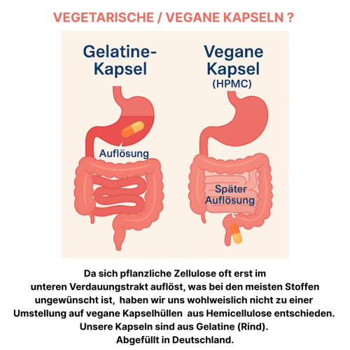 Melisse Zitronenmelisse 120 Kapseln NERVENKRAUT FRAUENWOHL HERZTROST 100% NATUR PUR - OHNE Zusatzstoffe!