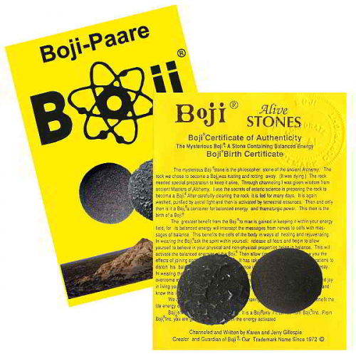 Boji® Paar Lebende Steine mit Booklet & Zertifikat ca. 27-30mm