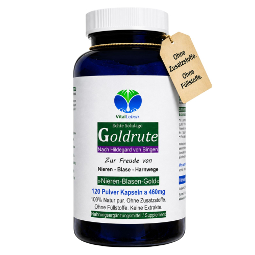 Goldrute Goldrutekraut & Blüten Echte Solidago 120 Pulver Kapseln Nieren Blase Harnwege. OHNE Zusatzstoffe.