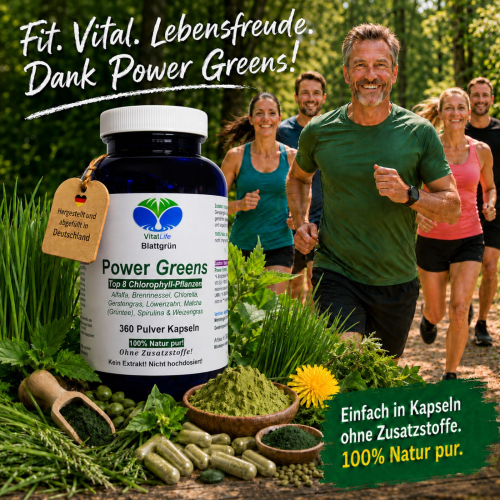 Green Power Greens 8x Chlorophyll Supergreens 360 Pulver Kapseln Alfalfa Brennnessel Chlorella Gerstengras Löwenzahn Matcha Spirulina Weizengras. Natur pur. Ohne Zusatzstoffe.