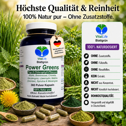 Green Power Greens 8x Chlorophyll Supergreens 360 Pulver Kapseln Alfalfa Brennnessel Chlorella Gerstengras Löwenzahn Matcha Spirulina Weizengras. Natur pur. Ohne Zusatzstoffe.
