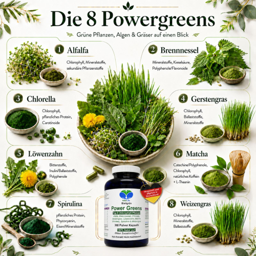 Green Power Greens 8x Chlorophyll Supergreens 360 Pulver Kapseln Alfalfa Brennnessel Chlorella Gerstengras Löwenzahn Matcha Spirulina Weizengras. Natur pur. Ohne Zusatzstoffe.