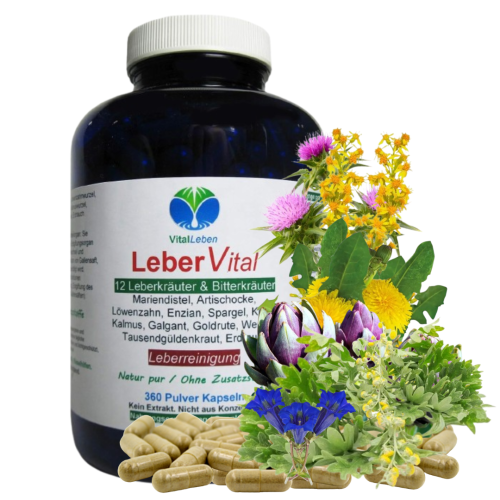 Leber Vital Komplex 12 KRÄUTER plus BITTERSTOFFE 360 Leberkapseln mit Mariendistel Artischocke Löwenzahn Enzian Klette Wermut Spargel uvm. 100% NATUR pur. OHNE Zusatzstoffe.