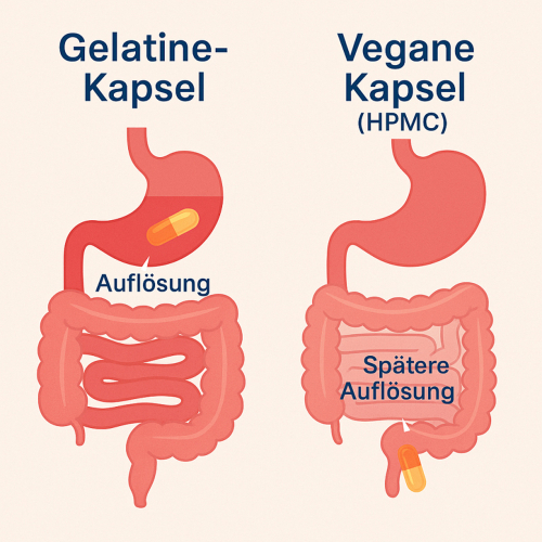 Leber Pflanzen TOP 3 Mariendistel + Artischocke + Löwenzahn 720 Kapseln