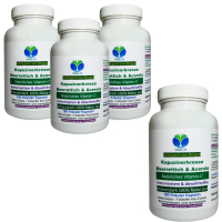 Immunstark - Kapuzinerkresse + Meerrettich + Acerola 100% NATÜRLICHES Vitamin C 720 (4x180) Pulver Kapseln