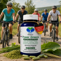 Green Power Greens 8x Chlorophyll Supergreens 180 Pulver Kapseln Alfalfa Brennnessel Chlorella Gerstengras Löwenzahn Matcha Spirulina Weizengras. Natur pur. Ohne Zusatzstoffe.
