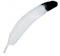 9-tlg Smudge Kit Räucherset INDIAN-SPIRIT