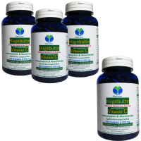 Hagebutte natürliches Vitamin-C 720 Pulver Kapseln