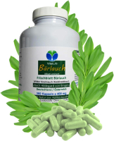 Wilder Frischblatt Bärlauch nach Hildegard von Bingen 360 Kapseln