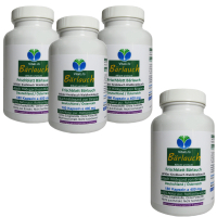 Wilder Frischblatt Bärlauch nach Hildegard von Bingen 720 Kapseln