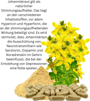 Johanniskraut Ruhe & Entspannung 720 Kapseln