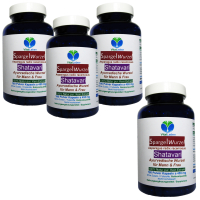 Spargel Spargelwurzel 720 Kapseln Asparagus, Shatavari NATUR ADAPTOGEN. OHNE Zusatzstoffe. 3 + 1 Rabatt.