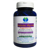 Guggul Indische Myrrhe Ayurveda Guggulsterone 180 Pulver Kapseln