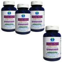 Guggul Indische Myrrhe Ayurveda Guggulsterone 720 Pulver Kapseln