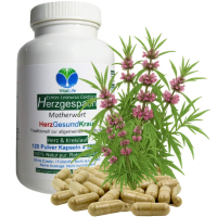 Echtes HERZGESPANNKRAUT 180 Kapseln Herzgespann [Herz & Kreislauf] HerzGesundKraut nach Hildegard von Bingen (Motherwort Leonurus Cardiaca) 100% NATUR PUR! Ohne ZUSATZSTOFFE.