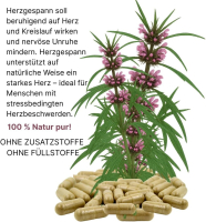 Echtes Herzgespann nach Hildegard von Bingen 720 Pulver Kapseln