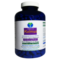 Kalmus-Wurzel nach Hildegard von Bingen 360 Pulver Kapseln