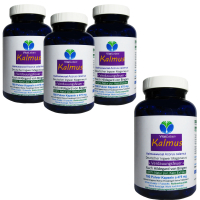 Kalmus-Wurzel nach Hildegard von Bingen 720 Pulver Kapseln