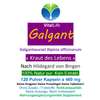 Galgant Galgantwurzel Siam Ingwer 120 Pulver Kapseln