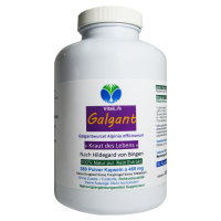 Galgant Galgantwurzel Siam Ingwer 360 Pulver Kapseln