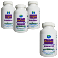 Galgant Galgantwurzel Siam Ingwer 720 Pulver Kapseln