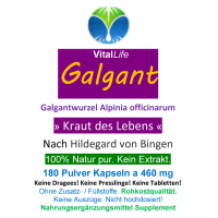 Galgant Galgantwurzel Siam Ingwer 720 Pulver Kapseln