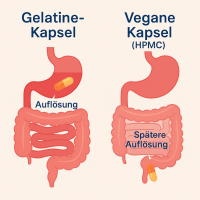 Knorpel & Gelenke Komplex + Vitamin-C 120 ArthroWell Gelenk-Kapseln